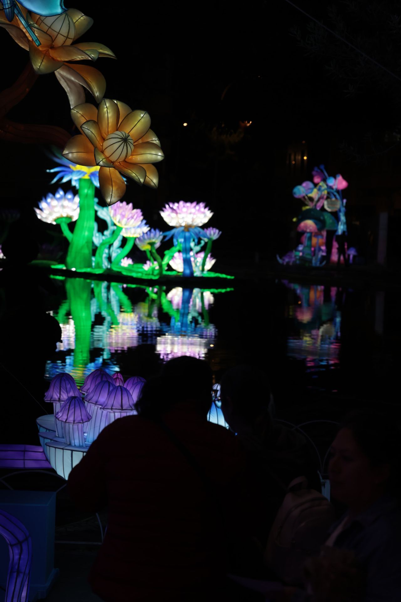 Chinese lantern festival in pictures